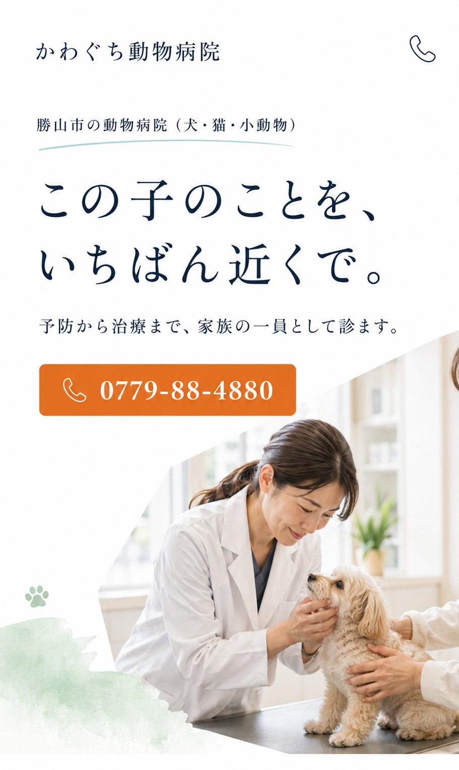 かわぐち動物病院様 ホームページデザイン案 1