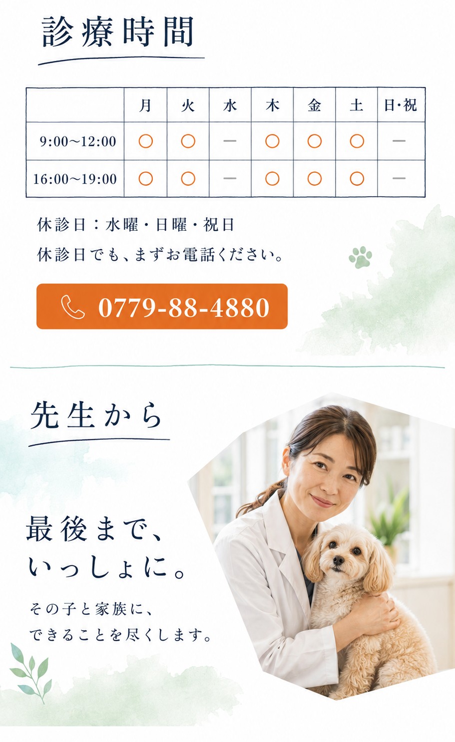 かわぐち動物病院様 ホームページデザイン案 2