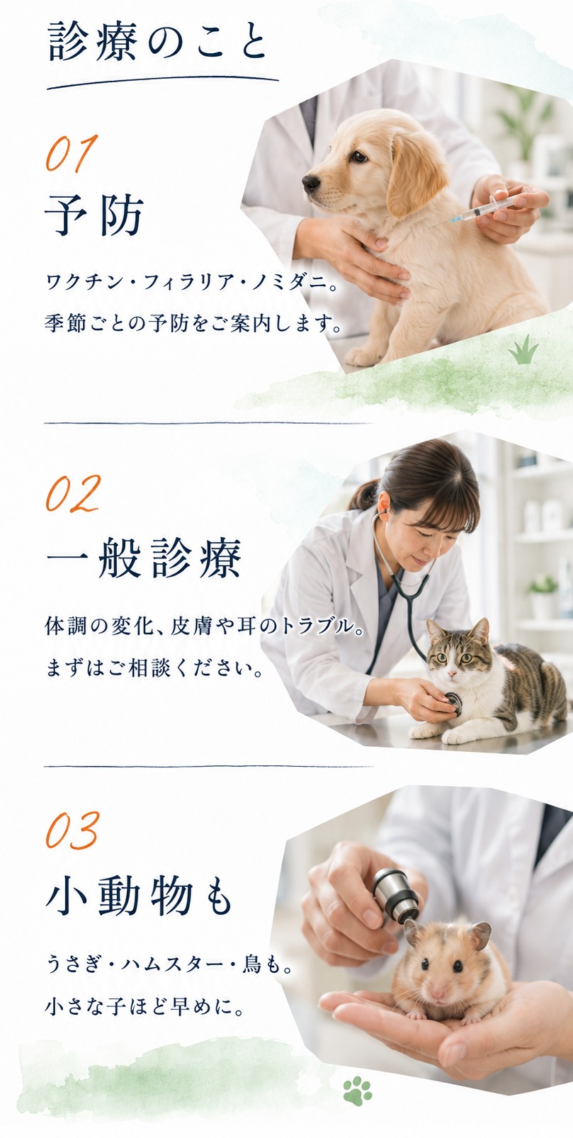 かわぐち動物病院様 ホームページデザイン案 3