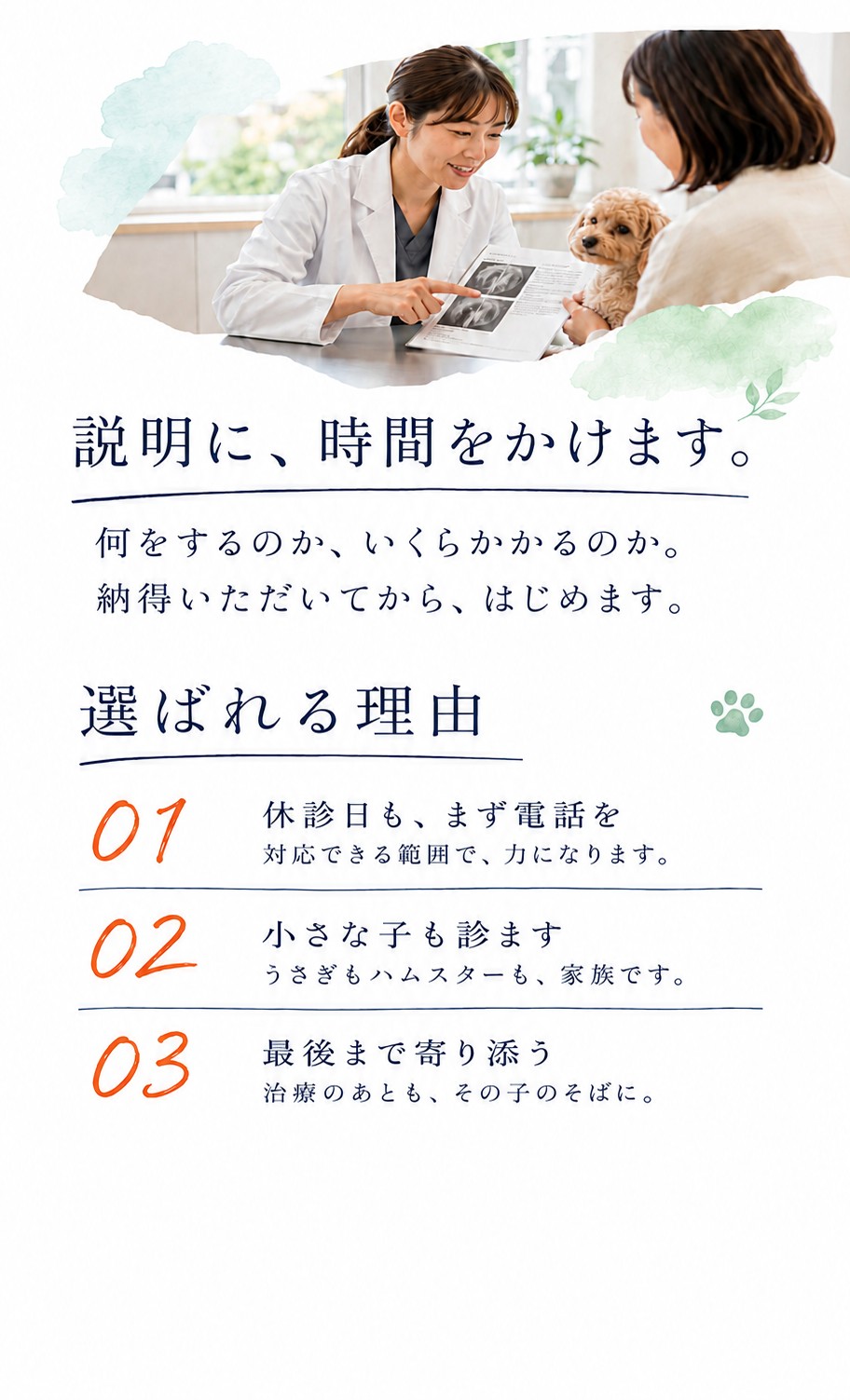 かわぐち動物病院様 ホームページデザイン案 4